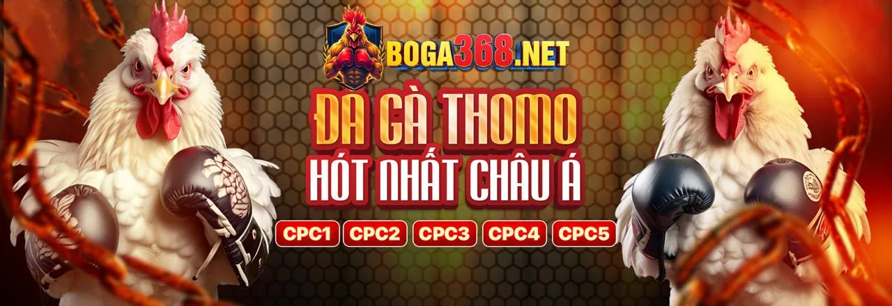 Xác minh danh tính và chống gian lận